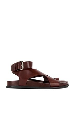 Hvar Sandal in . Size 6.5, 7.5 - Jeffrey Campbell - Modalova