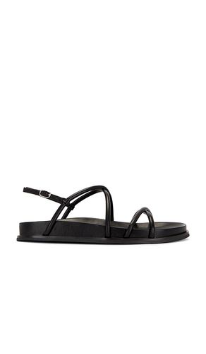 Sandalia la empress en color talla 6 en - Black. Talla 6 (también en 6.5, 7.5, 8, 8.5, 9.5) - Jeffrey Campbell - Modalova