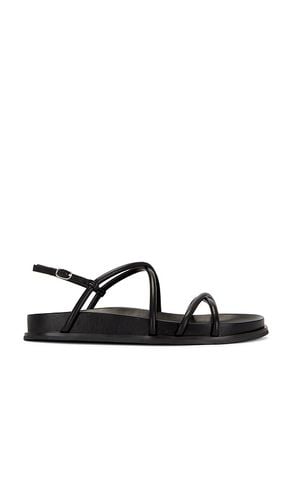 La Empress Sandal in . Size 6.5, 7.5, 8, 8.5 - Jeffrey Campbell - Modalova