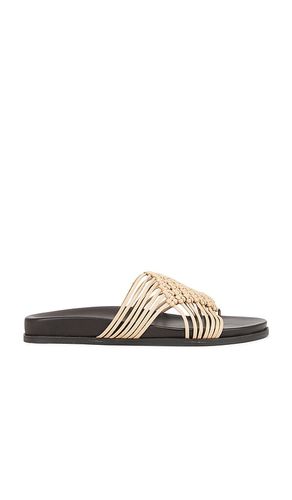 Plait Slides in . Size 8. Also in 9, 10 - Jeffrey Campbell - Modalova