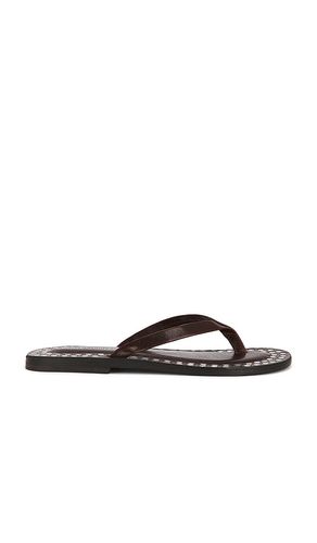Katrina Strap Sandal in . Size 7. Also in 8 - Jeffrey Campbell - Modalova
