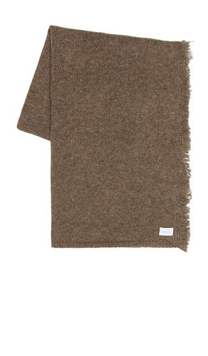 Blanket Scarf in - Janessa Leone - Modalova