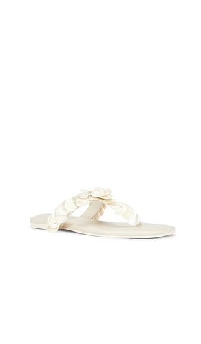 Elin Natural Shell Beaded Thong Sandal in . Size 37. Also in 38, 40 - SIMKHAI - Modalova