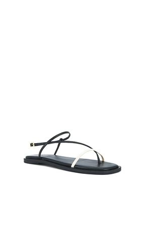 Alayta Square Toe Sandal in . Size 8. Also in 9 - Kaanas - Modalova