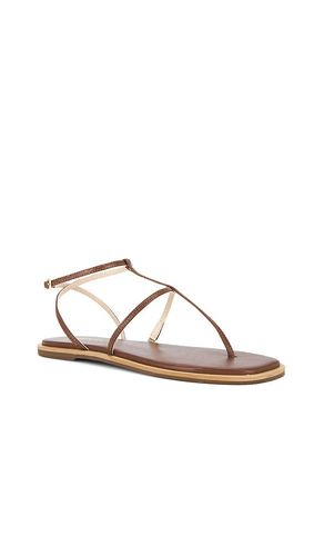 Aisha Strappy Gladiator Sandal in . Size 7. Also in 8, 9 - Kaanas - Modalova