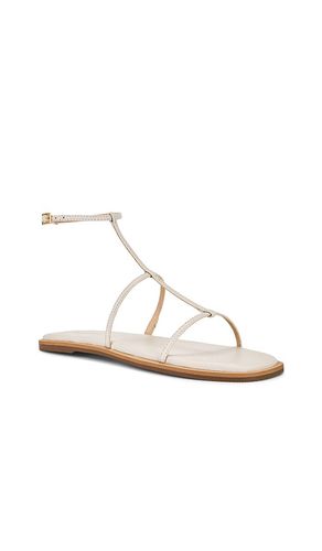 Nerea Strappy Gladiator Sandal in . Size 7. Also in 8, 11 - Kaanas - Modalova