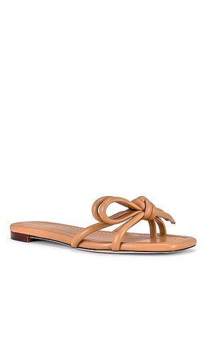 Hadley Sandal in . Size 7. Also in 6, 6.5, 7.5, 8, 8.5, 9 - Loeffler Randall - Modalova