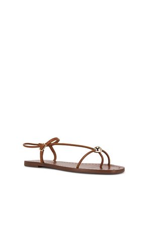 Lara Strappy Flat Sandal in . Size 6.5. Also in 7.5, 8, 8.5 - Loeffler Randall - Modalova