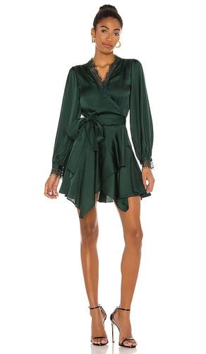 Nadeen Mini Dress in . Size M, S - Lovers and Friends - Modalova