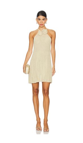 Nance Mini Dress in . Size M, S, XL, XS - Lovers and Friends - Modalova