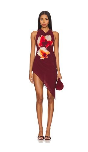 KLEID EMERY MINI in . Size XXS - Lovers and Friends - Modalova