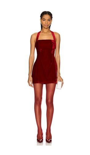 Vivica Velvet Mini Dress in . Size M, S, XL, XS, XXS - Lovers and Friends - Modalova