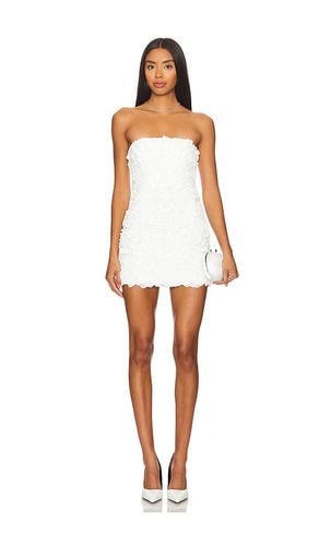 Lucia Mini Dress in . Size M - Lovers and Friends - Modalova