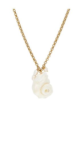 Drew Shell Necklace in - Lovers and Friends - Modalova