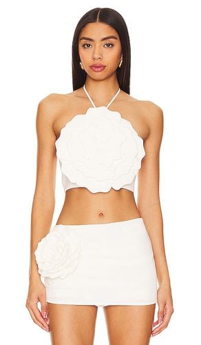 Zora Crop Top in . Taglia M - Lovers and Friends - Modalova