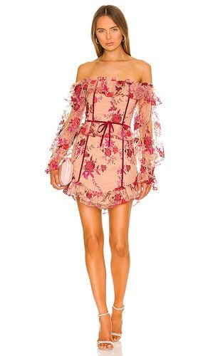 Fae Mini Dress in . Taglia S, XS - MAJORELLE - Modalova