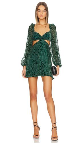 Mariah Mini Dress in . Taglia XL - MAJORELLE - Modalova