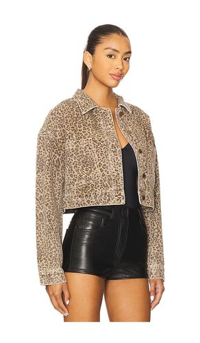 Anouk Crop Jacket in . Size S. Also in XS - MINKPINK - Modalova