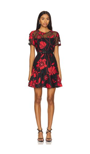 Rosie Grand Fleur Dress in . Size 10, 2, 4, 6, 8 - MILLY - Modalova