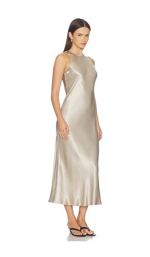 Solene Dress in . Size L. Also in M, S, XL, XS - Rails - Modalova
