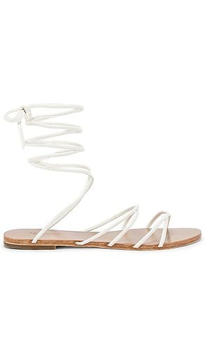 Collette Sandal in . Size 7, 7.5, 9, 9.5 - RAYE - Modalova