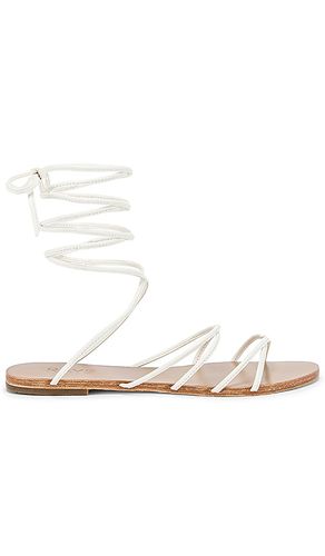 Collette Sandal in . Size 7, 7.5, 9 - RAYE - Modalova