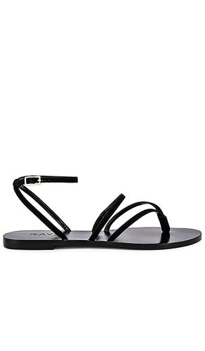 Void sandal in color size 5.5 in - . Size 5.5 (also in 7.5) - RAYE - Modalova