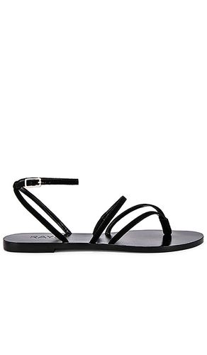 Void Sandal in . Taglia 7, 8, 8.5 - RAYE - Modalova