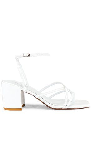 Hours Sandal in . Size 6.5, 7, 7.5, 8.5 - RAYE - Modalova