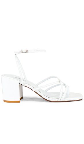 Hours Sandal in . Taglia 6.5, 7.5, 8.5 - RAYE - Modalova