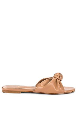 Buffy Sandal in . Size 6.5, 7, 7.5, 8 - RAYE - Modalova