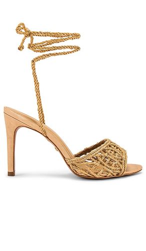 Paulo Heel in . Size 6.5. Also in 7, 7.5, 8, 8.5, 9 - RAYE - Modalova