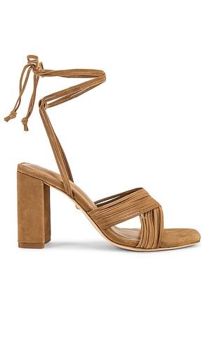 RAYE Gian Heel in Tan. Taglia 8, 9 - RAYE - Modalova