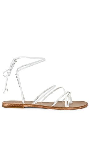 Sandalia spur en color blanco talla 6.5 en - White. Talla 6.5 (también en 7.5, 8.5, 9) - RAYE - Modalova