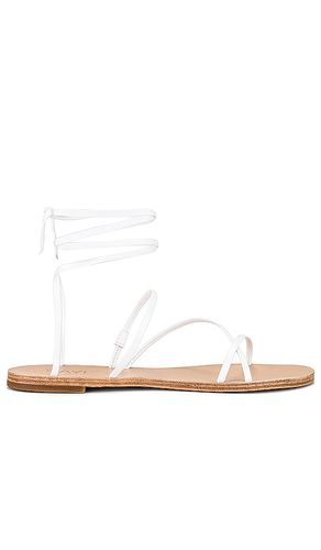 Tied up Sandal in . Size 8.5 - RAYE - Modalova