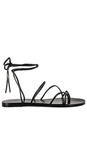 RAYE Spur Sandal in Black. Size 9 - RAYE - Modalova