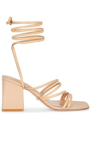 Saorise Heel in . Size 6. Also in 7, 7.5, 8.5, 9.5 - RAYE - Modalova