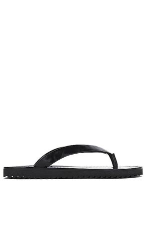 RAYE Lilah Sandal in Black. Size 7 - RAYE - Modalova