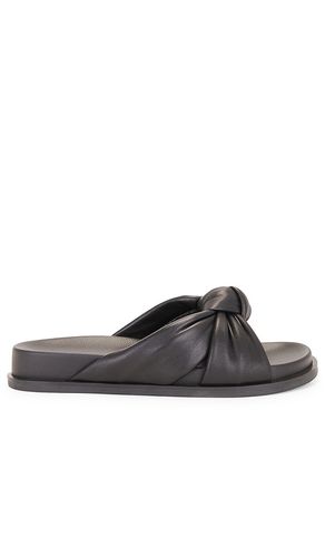 Brissa Slide in . Taglia 5, 6, 7, 8, 9 - RAYE - Modalova