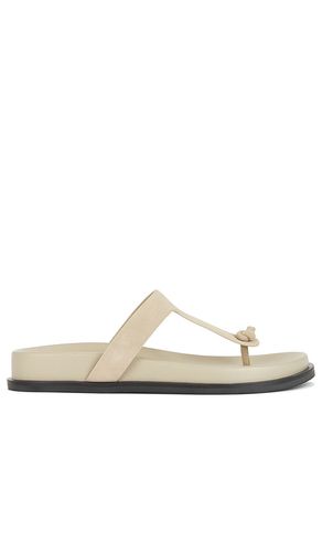 Channi Slide in . Size 7. Also in 8, 9 - RAYE - Modalova