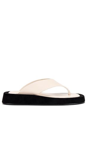 Chris Sandal in . Taglia 5, 7 - RAYE - Modalova