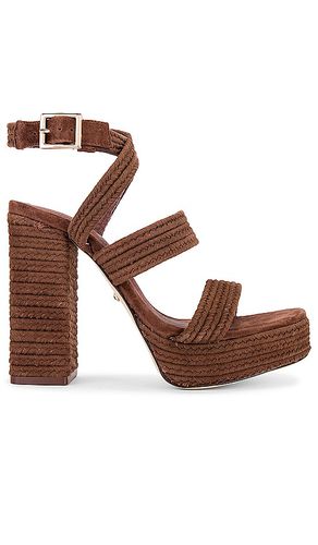 RAYE Akita Heel in Brown. Taglia 6 - RAYE - Modalova