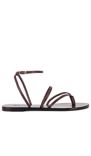 Void sandal in color brown size 5.5 in - Brown. Size 5.5 (also in 7.5) - RAYE - Modalova