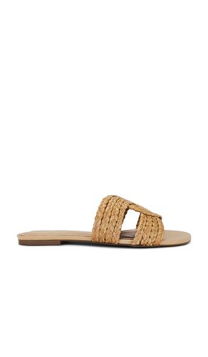 Kallisto Sandal in . Taglia 6.5, 7, 7.5, 8, 8.5 - RAYE - Modalova