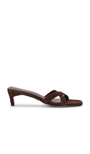 Shea Sandal in . Size 5.5, 6, 6.5, 7, 7.5, 8, 8.5, 9, 9.5 - RAYE - Modalova