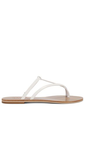 Pina Sandal in . Size 6.5, 7.5, 8, 8.5, 9 - RAYE - Modalova