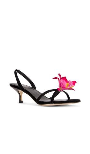 RAYE Kloe Heel in Black. Size 8.5 - RAYE - Modalova