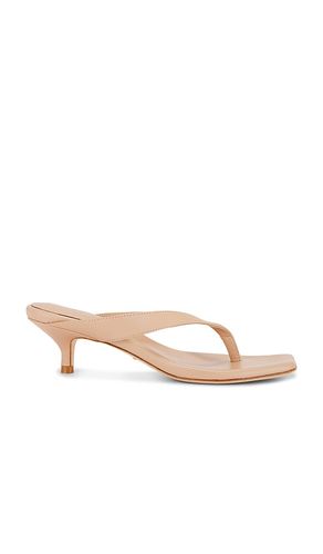 Perla Kitten Heel in . Size 7.5 - RAYE - Modalova