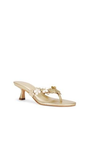 SANDALE ZOEY in . Size 8.5, 9 - RAYE - Modalova