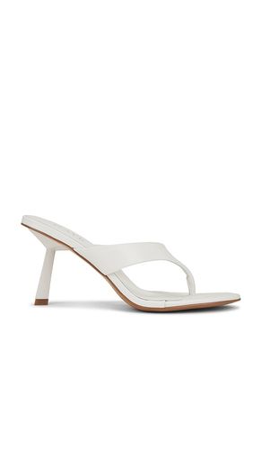 Zaho Sandal in . Taglia 6, 6.5, 7, 7.5, 8, 8.5, 9, 9.5 - RAYE - Modalova